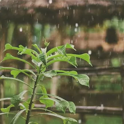 10 Tips on How to Prepare Your Business for the Typhoon Season 1 how-to-prepare-business-typhoon