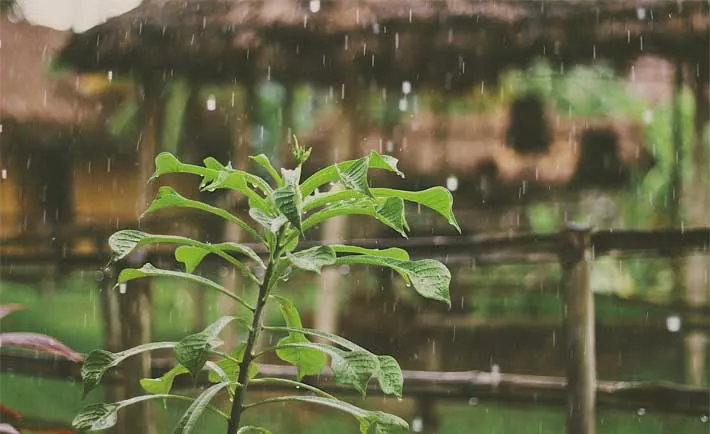 how-to-prepare-business-typhoon